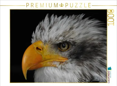 Produktbild von CALVENDO Puzzle Seeadler | 1000 Teile Lege-Größe 64x48cm Foto-Puzzle für glückliche Stunden