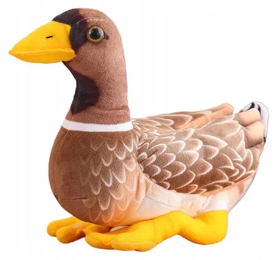 Produktbild von Granda Realistische Wildente Plüschtier Braun 30 cm