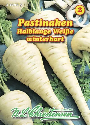 Artikelbild 1 von 'Pastinake Halblange Weiße' aus der Kategorie Pastinakensamen