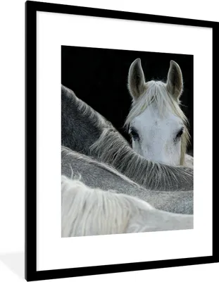 Produktbild von MuchoWow® Gerahmtes Poster Pferde - Tiere - Schwarz - Weiß 60x80 cm - Poster mit Schwarzem Bilderrahmen Wandposter Rahmen Foto Bilder - Wohnzimmer - Dekorationen - Prämie