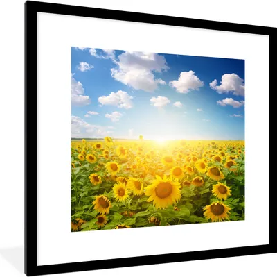 Produktbild von MuchoWow® Gerahmtes Poster Sonnenblume - Sonne - Wolken 40x40 cm - Poster mit Schwarzem Bilderrahmen Wandposter Rahmen Foto Bilder - Poster - Plakat im Rahmen