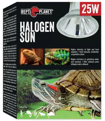 Produktbild von Repti Planet 007-41231, 25 W, 1 Stück(e)