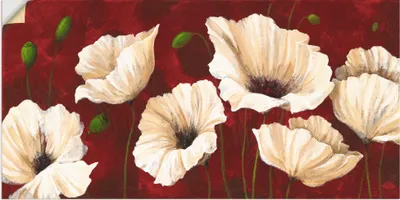 Produktbild von ARTland Wandbild, selbstklebend Weiße Mohnblumen vor rot Größe: 40x20 cm