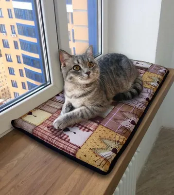 Obrázok produktu pre Mačacie vankúš na parapet 55x25 cm Mačacie lôžko nepremokavé, pohodlné, s 2 samolepiacimi pásikmi, Pexeso