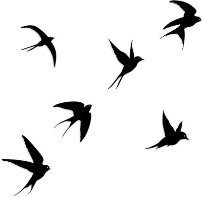 Produktbild von Vogel-Wanddekoration - Set aus 6 - Schwarz - Naturliche Atmosphäre