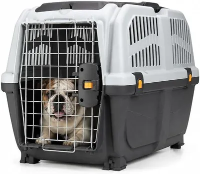 Image de Cage de transport Skudo 4 IATA, grise, 68 x 48 x 51 cm