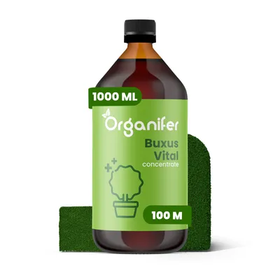 Produktbild von Buxus Vital 1000 ml - Konzentrat für 100 Meter Hecke- Organifer