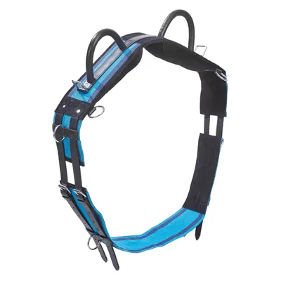 Immagine prodotto di BUSSE Longiergurt Double Navy/Sky Blue Warmblut