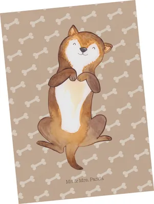 Produktbild von Mr. & Mrs. Panda Postkarte Hund Streicheln - Hundeglück - Geschenk, kunstkarte, Süß, Hunde, Ansichtskarten, Bauch, Sprüche, Postkarten, Niedlich, Grußkarte, Ansichtskarte