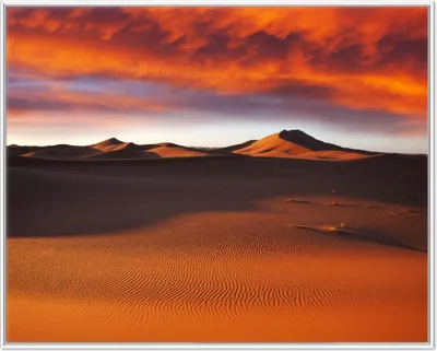 Produktbild von Wallario Wandbild Sahara Wüste II - Sanddünen im Sonnenuntergang, Größe: 40,30 x 50,30 cm, Poster mit weißem Aluminiumrahmen