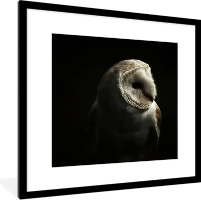 Produktbild von MuchoWow® Gerahmtes Poster Eule - Vogel - Porträt 40x40 cm - Poster mit Schwarzem Bilderrahmen Wandposter Rahmen Foto Bilder - Poster - Plakat im Rahmen