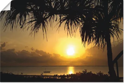 Produktbild von ARTland Poster Sonnenaufgang Größe: 30x20 cm