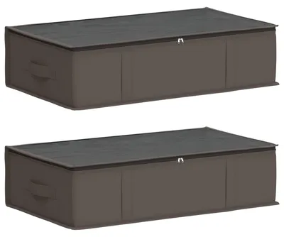Image de vidaXL Boîte de rangement avec fenêtre transparente sur le dessus, lot de 2, gris