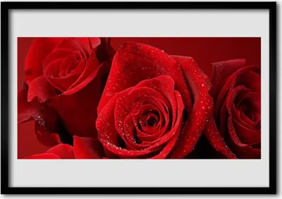 Produktbild von Bild 70x50 MDF-Rahmen Wandkunst Rosen Blumen