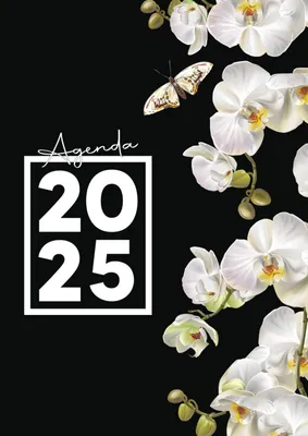 Imagen del producto de Agenda 2025: Planificación diaria en formato grande A4