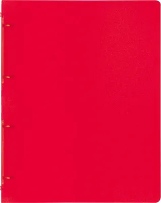 Image de 10XBRUNNEN 106554623 RingbA4 16mm 4R red
