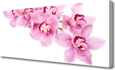 Produktbild von Tulup Leinwand-Bilder 125x50 Wandbild Canvas Kunstdruck Blumen Pflanzen