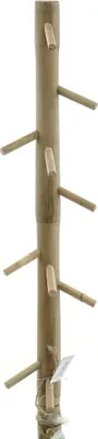 Produktbild von VAN DER LEEDEN Garderobenleiste Natur senkrecht mit 10 Haken 60 cm - Teakholz