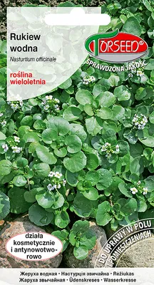 Produktbild von Brunnenkressesamen 0,1g - Torseed