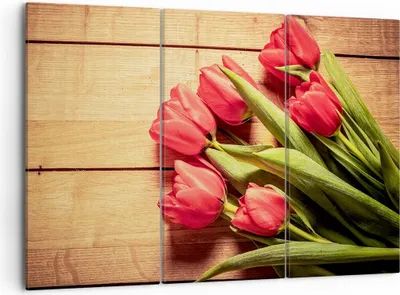 Produktbild von Bild auf Leinwand - Leinwandbild - Tulpen Blumenstrauß Sommer Garten - 105x70cm - Wand Bild - Wanddeko - Leinwanddruck - Bilder - Kunstdruck - Leinwand bilder - Wandkunst - CE105x70-2867