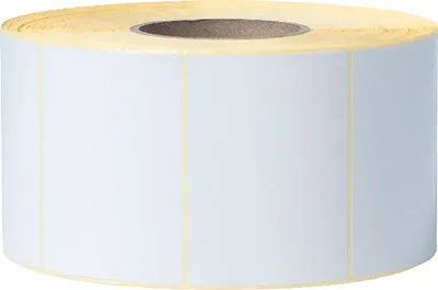 Produktbild von Brother BUS1J074102203, Weiß, Gestanztes Etikett, Wärmeübertragung, Rechteck, TJ-4020TN, TJ-4120TN, TJ-4021TN, TJ-4121TN, 10,2 cm