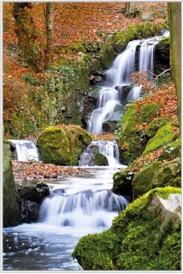 Produktbild von Wallario Wandbild Bach im Wald, Größe: 61 x 91,50 cm, Poster mit weißem Aluminiumrahmen