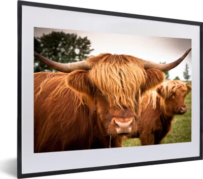 Produktbild von MuchoWow® MuchoWow® Gerahmtes Poster Schottische Hochlandrind - Braun - Gras 60x40 cm - Poster mit zchwarzem Bilderrahmen - Schlafzimmer - Plakat in Rahmen - Drucken