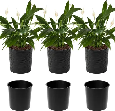 Immagine prodotto di Set di 3 vasi da fiori Lamela | Malwa | con inserto | nero | 19 cm