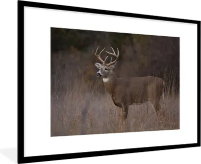 Produktbild von MuchoWow® MuchoWow® Gerahmtes Poster Herbst - Hirsche - Gras - Natur - Tiere 90x60 cm - Poster mit zchwarzem Bilderrahmen - Wanddekoration - Fotos