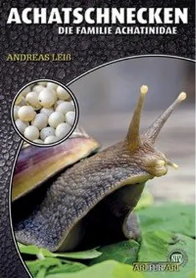 Produktbild von Achatschnecken