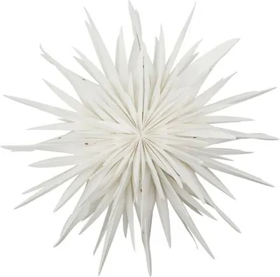 Produktbild von House Doctor Stern DUST off-white | Ø 40cm
