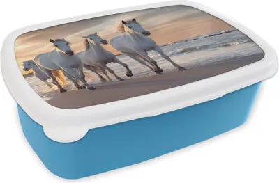 Produktbild von KitchenYeah® Lunchbox Brotzeit Brotdose 17x11 cm Pferde - Sonne - Strand - Meer Kinder Brotzeitdose - Lunch - Kunststoff  - Brotbüchse - Sandwichbox - Lunchbox für Kinder