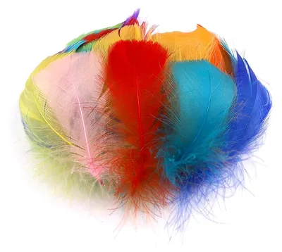 Produktbild von 100 Stück Deko Federn, Natur Gänse, Flauschfedern für DIY Ohrringe, Hochzeiten, Traumfänger, Kostüme, Kopfschmuck, Masken, Karneval, Basteln, Federball, 5-8 cm, Mixfarbe A