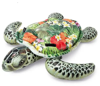 Image de tortue gonflable