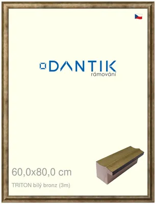 Obrázek produktu pro DANTIK rámeček 60x80 | TRITON bílý bronz (Plexi Čiré)