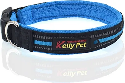 Produktbild von Hundehalsband reflektierend Nylon Mesh atmungsaktives Band Klickverschluss Größe L (Breite 2,5 cm, Länge 47-54 cm) Blau