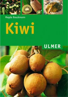 Image de Kiwi