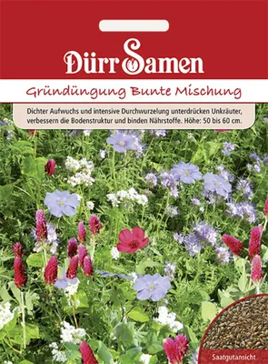 Produktbild von Dürr-Samen - Gründüngung Bunte Mischung 50 g - Saatgut - 4225