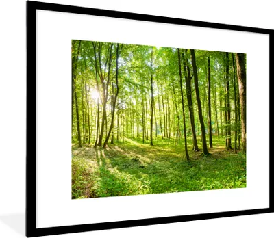 Produktbild von MuchoWow® Gerahmtes Poster Natur - Bäume - Wald - Grün - Sonnenlicht 80x60 cm - Poster mit Schwarzem Bilderrahmen Wandposter Rahmen Foto Bilder - Schlafzimmer-Dekorationen - Fotoposter
