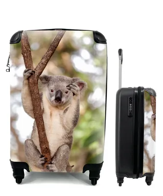 Produktbild von MuchoWow® Koffer Handgepäck Trolley Rollkoffer Kleine Reisekoffer mit 4 Rollen - Koala - Äste - Tier - Kinder - Jungen - Mädchen - Cabin Size < 55x40x23 cm & 55x40x20 cm - Kinderkoffer - Kabinenkoffer - Boardgepäck - Reise-Box - Reisekoffer - Reisegepäck - Koffer mit Bild - Trolley für Kinder