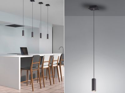 Trio Leuchten Pendelleuchte Marley schwarz matt