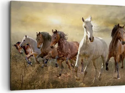 Produktbild von Bild auf Leinwand - Leinwandbild - Pferd Tier Natur - 100x70cm - Wand Bild - Wanddeko - Wandbilder - Leinwanddruck - Bilder - Kunstdruck - Wanddekoration - Leinwand bilder - Wandkunst - AA100x70-3640