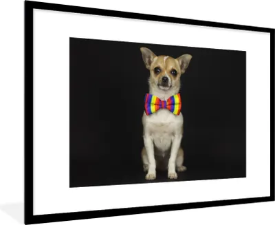 Produktbild von MuchoWow® Gerahmtes Poster Hund - Fliege - Schwarz 90x60 cm - Poster mit Schwarzem Bilderrahmen Wandposter Rahmen Foto Bilder - Wanddekoration - Fotos