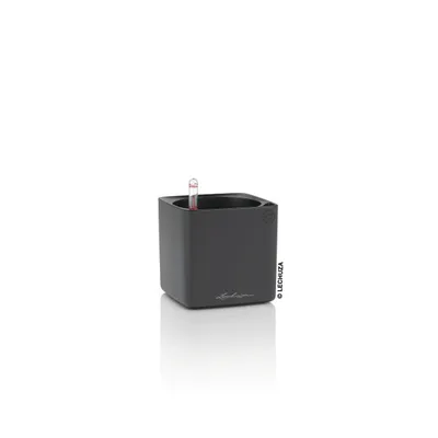 Produktbild von LECHUZA-Tischgefäß CUBE Premium 14 Basaltgrau Matt | Pflanzgefäß mit Bewässerungssystem | matte Oberfläche | 14 x 14 x 13,5 cm | 13501