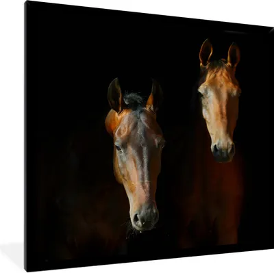 Produktbild von MuchoWow® Gerahmtes Poster Pferde - Tiere - Braun 40x40 cm - Poster mit Schwarzem Bilderrahmen Wandposter Rahmen Foto Bilder - Mit Rahmen - Wanddekoration Schlafzimmer