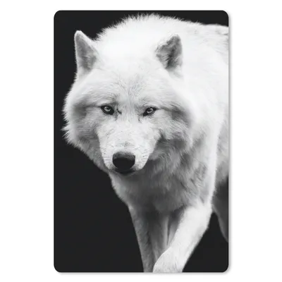 Produktbild von MuchoWow® Mauspad Mousepad Wolf - Tier - Schwarz - Weiß 18x27 cm - Mousepads - Maus Mat - Pad - Mausunterlage