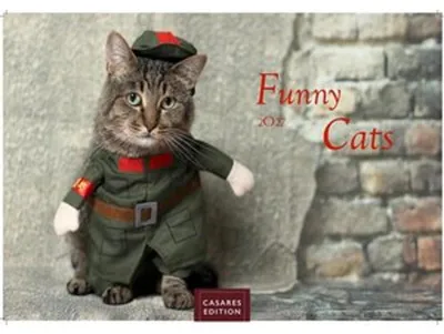 Obrázek produktu pro Kalendář Funny Cats 2027 – nástěnný kalendář | Fotokalendář se zvířaty, rozměry 24 x 35 cm – vtipný kalendář s kočkami