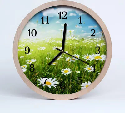Produktbild von Holzuhr 30fi cm wanduhr - Gänseblümchen Blumen