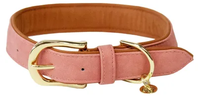 Produktbild von Kentucky Dogwear Hundehalsband  Peach XXS