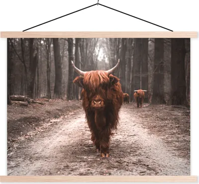 Produktbild von MuchoWow® Textilposter Schottisches Hochlandrind - Wald - Kuh - Tiere - Natur 60x45 cm mit holzfarbenen Rahmen - Bild